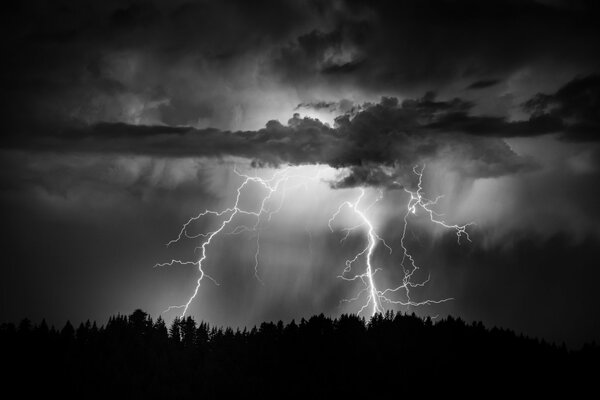 Gewitter schlagen in den Wald ein