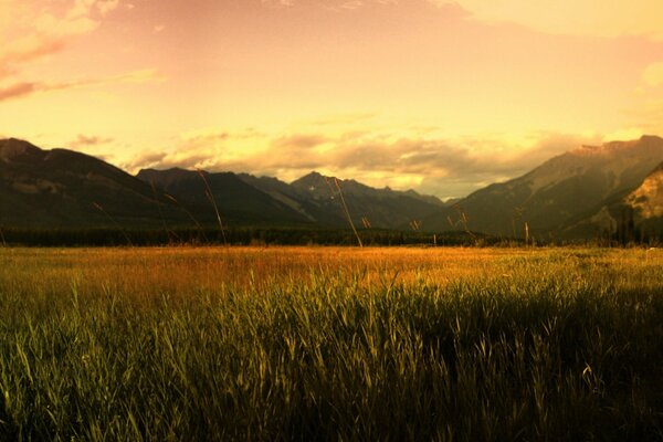 Ein wunderbarer Sonnenaufgang in den Bergen des Altai