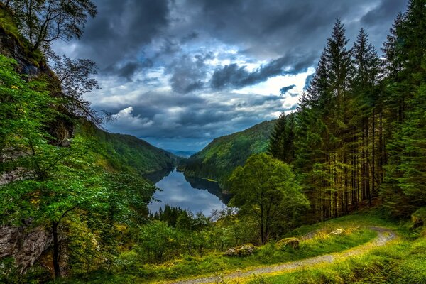 Emerald Forest and mountains