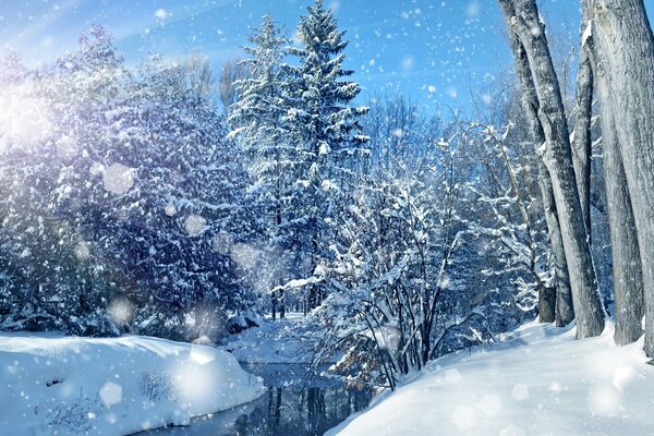 Paysage d hiver merveilleux avec une rivière et des congères