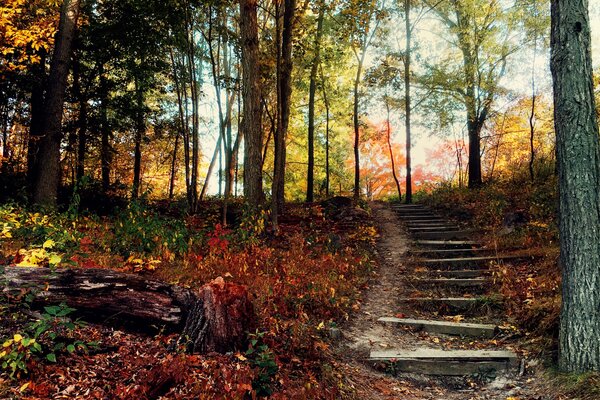 Der Herbst ist eine schöne Zeit des Jahres