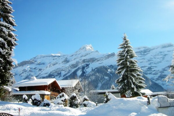 Maisons enneigées avec des arbres de Noël dans la cour