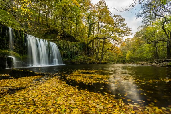 Autumn, waterfall - river in foliage