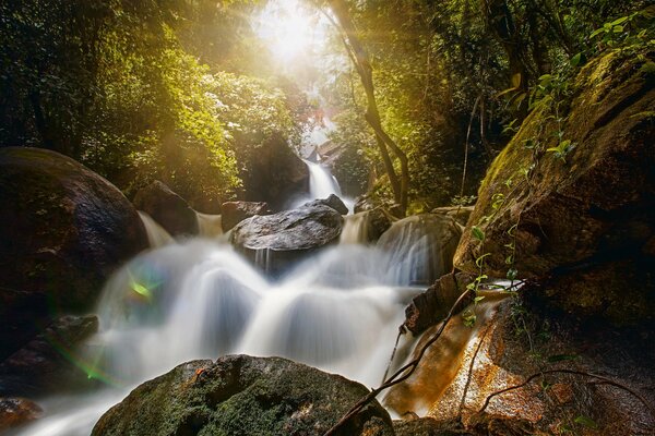 Forêt cascade au Brésil braydlvale