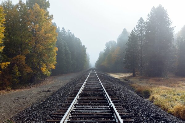 Chemin de fer dans le brouillard