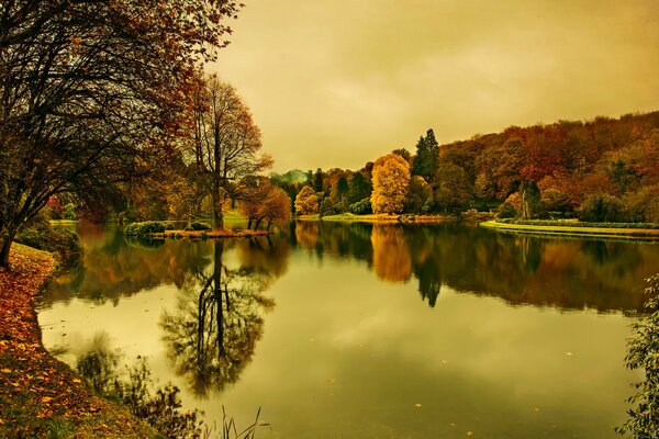 The picturesque forest is reflected in the lake