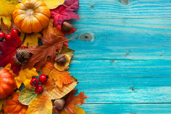 Hojas de otoño. Naturaleza muerta de otoño. Fondo azul. Mini calabazas