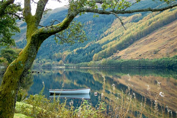 Boat on the water in the mountains