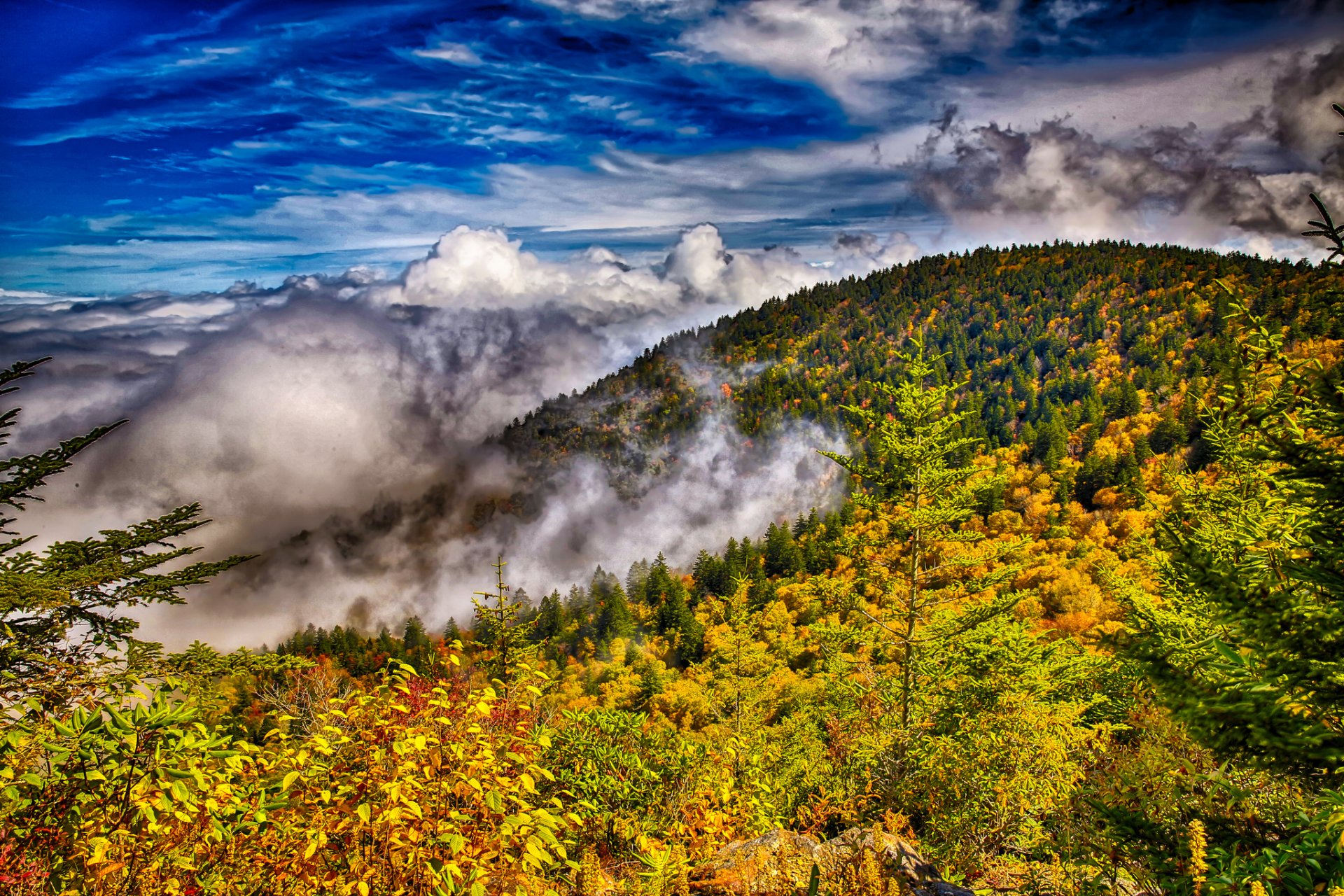 cielo nuvole montagne foresta alberi autunno