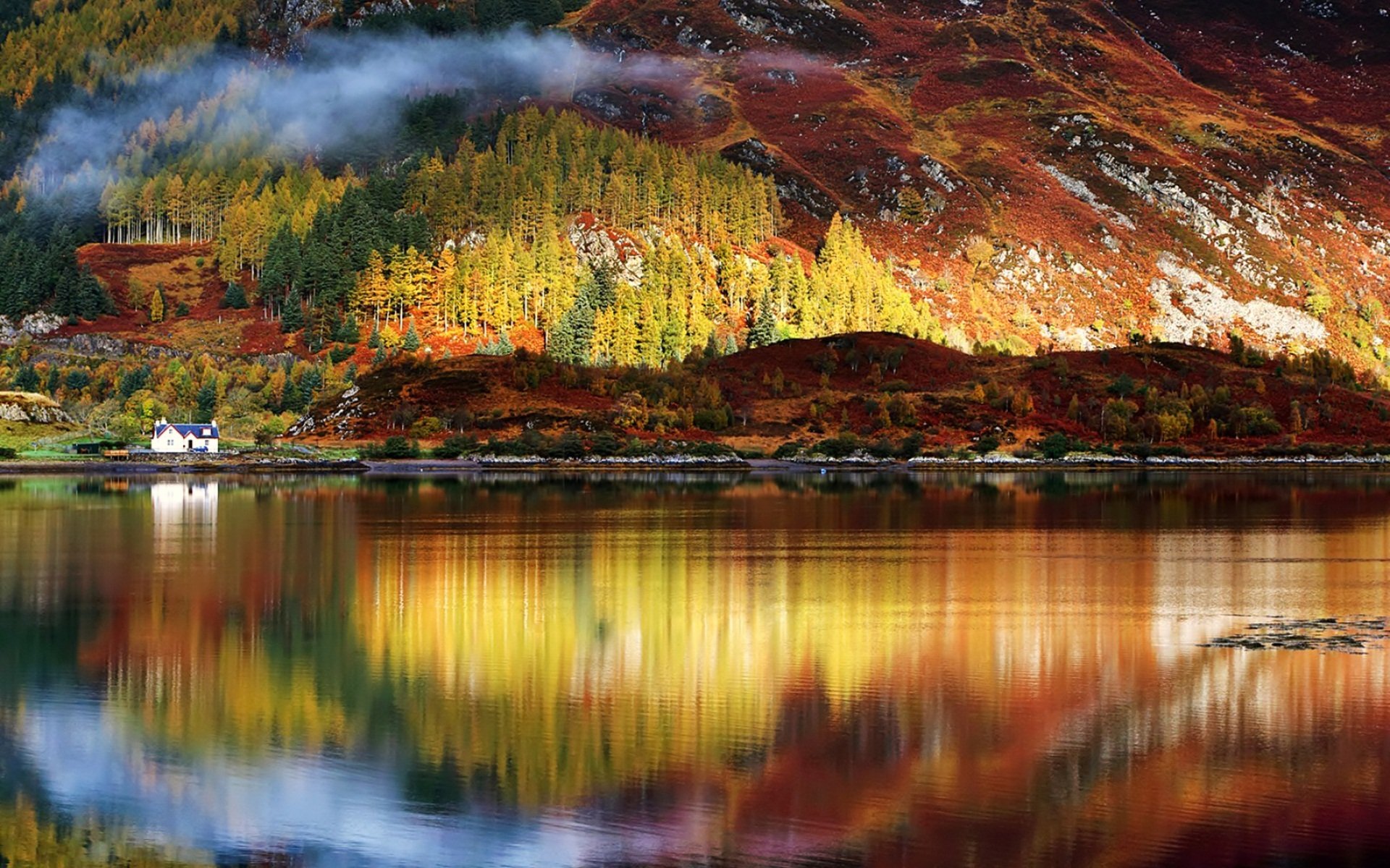 wasser reflexion sonnenstrahlen wald