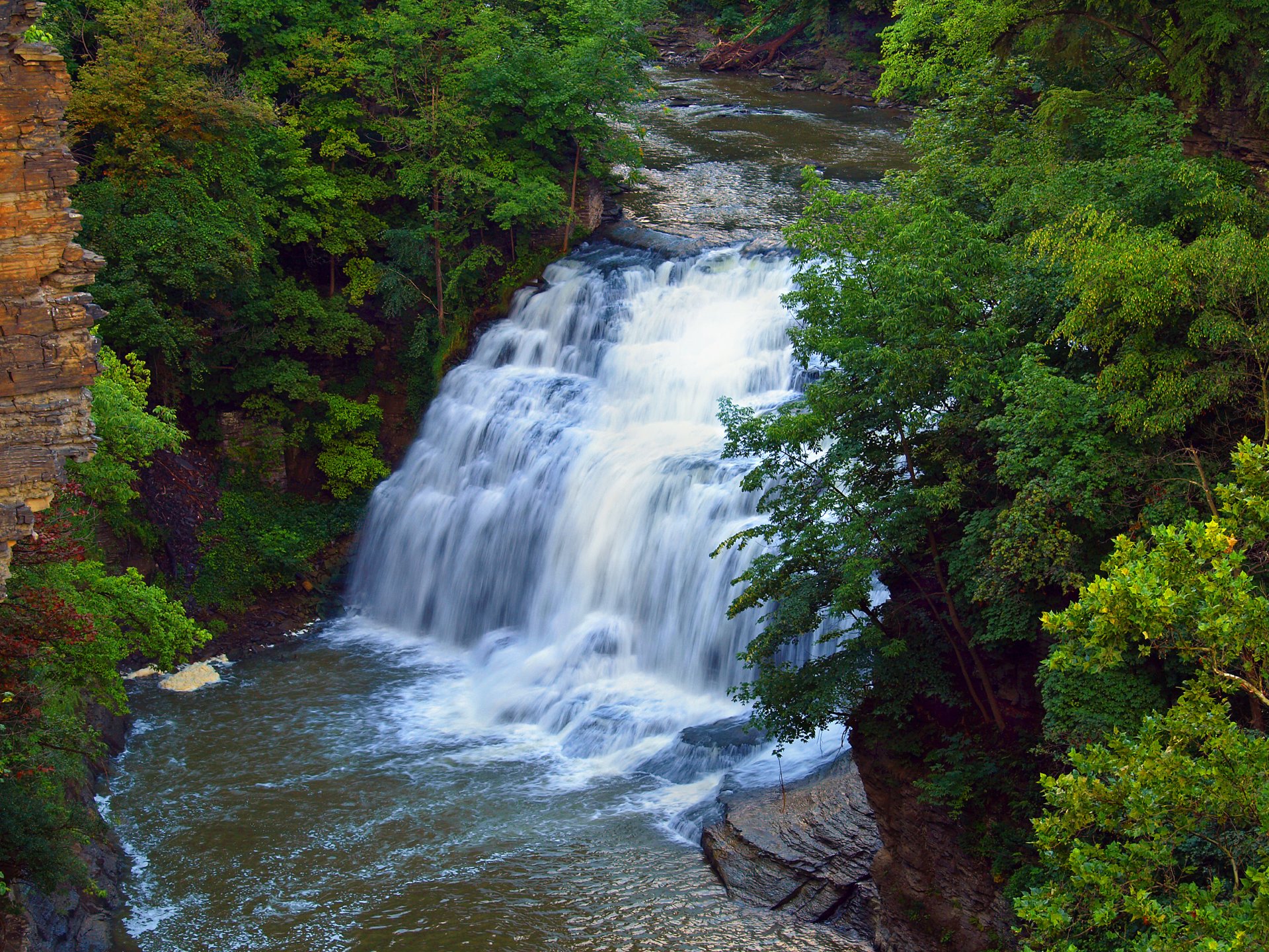 fluss wasserfall felsen bäume wald