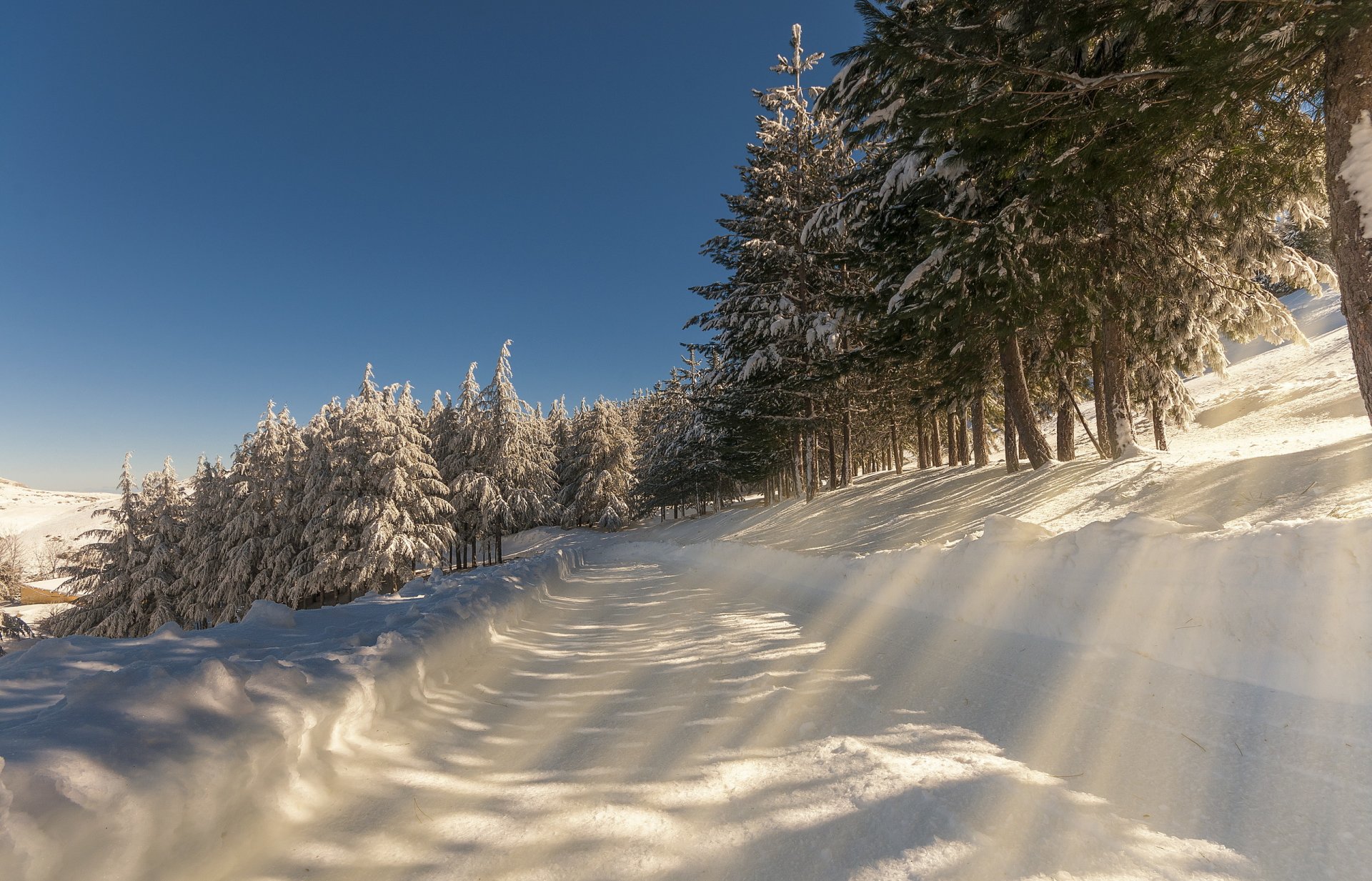 winter morning road snow landscape nature