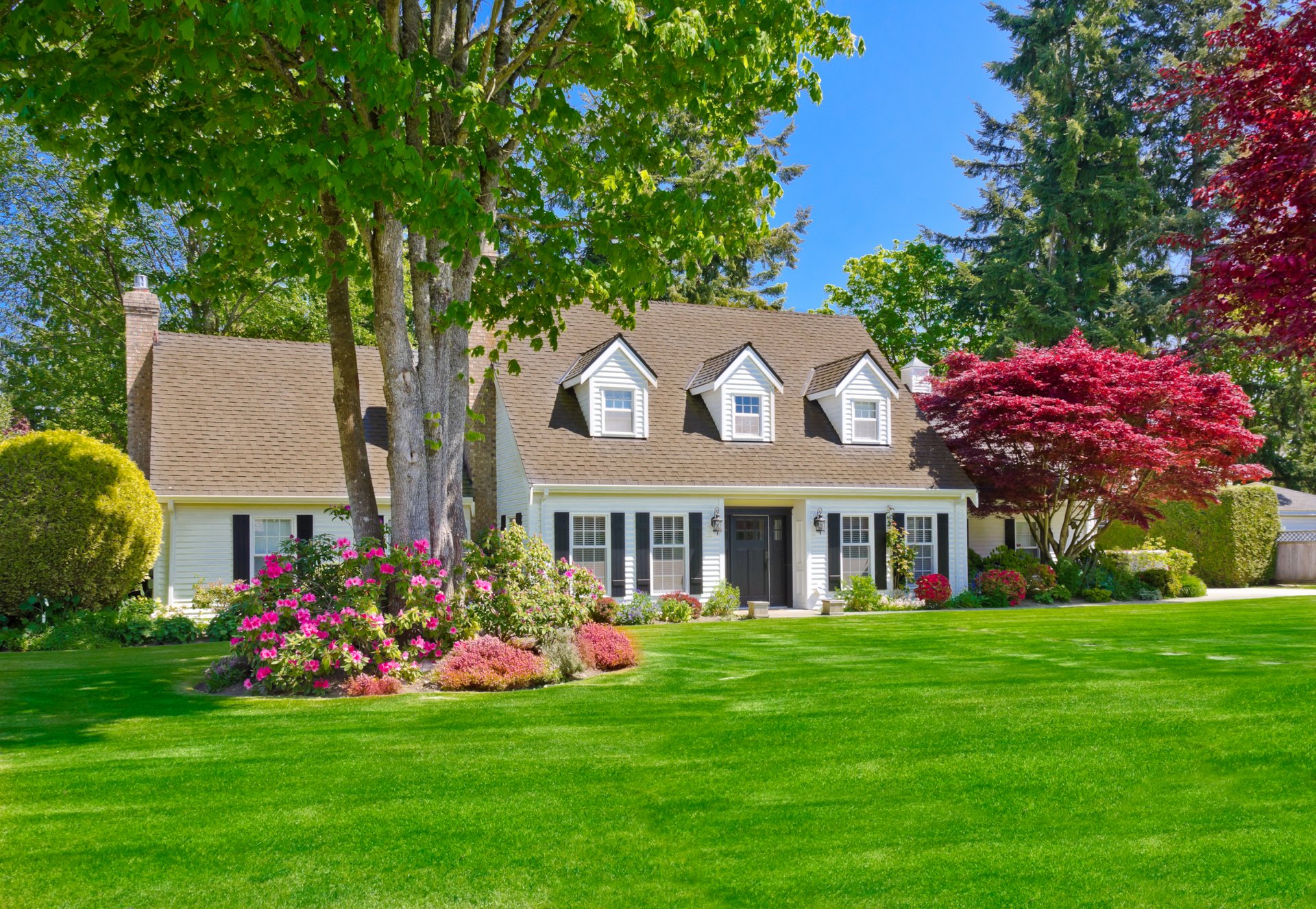 maison manoir conception pelouse fleurs buissons arbres pelouse herbe verdure été soleil