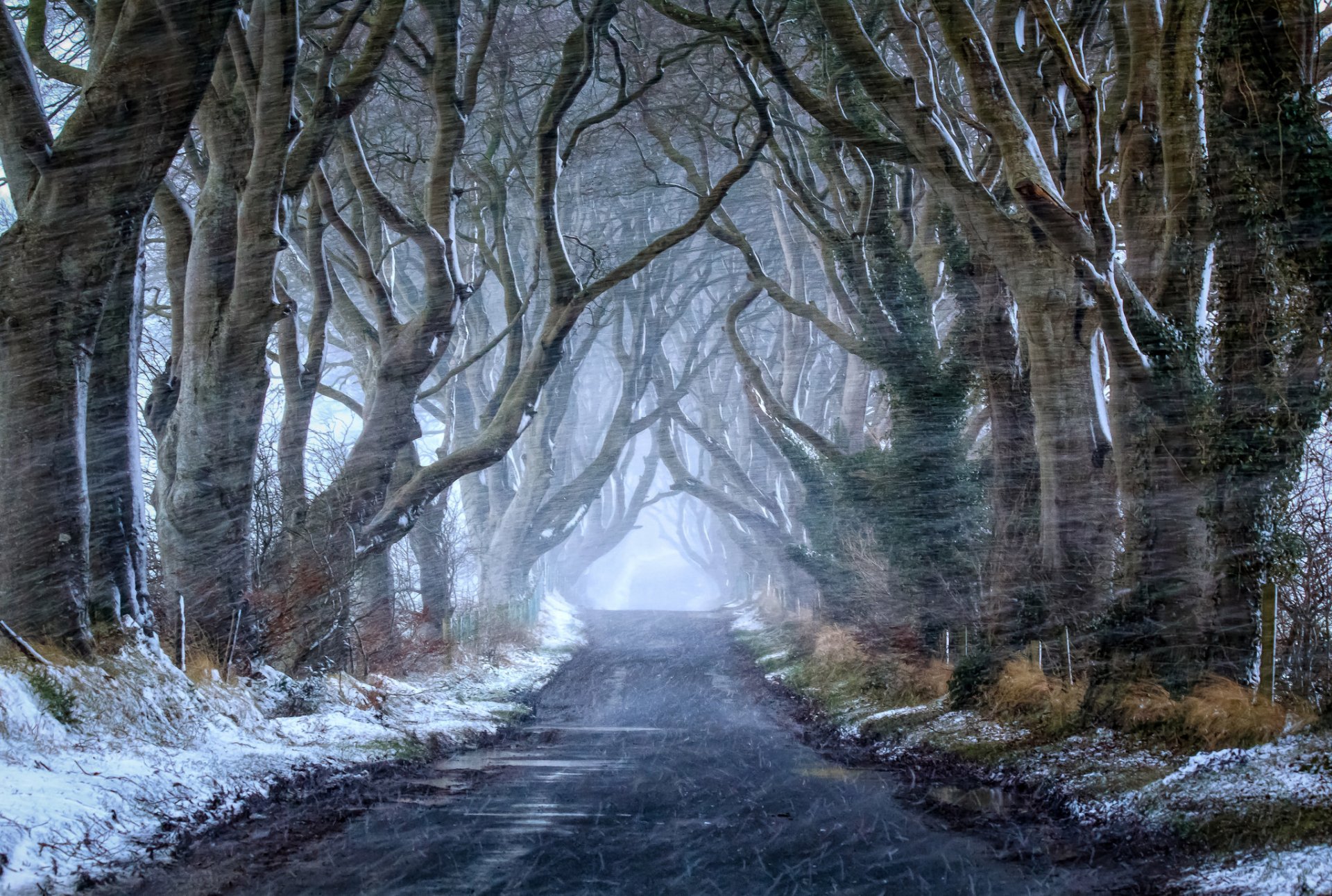 autumn road snow nature