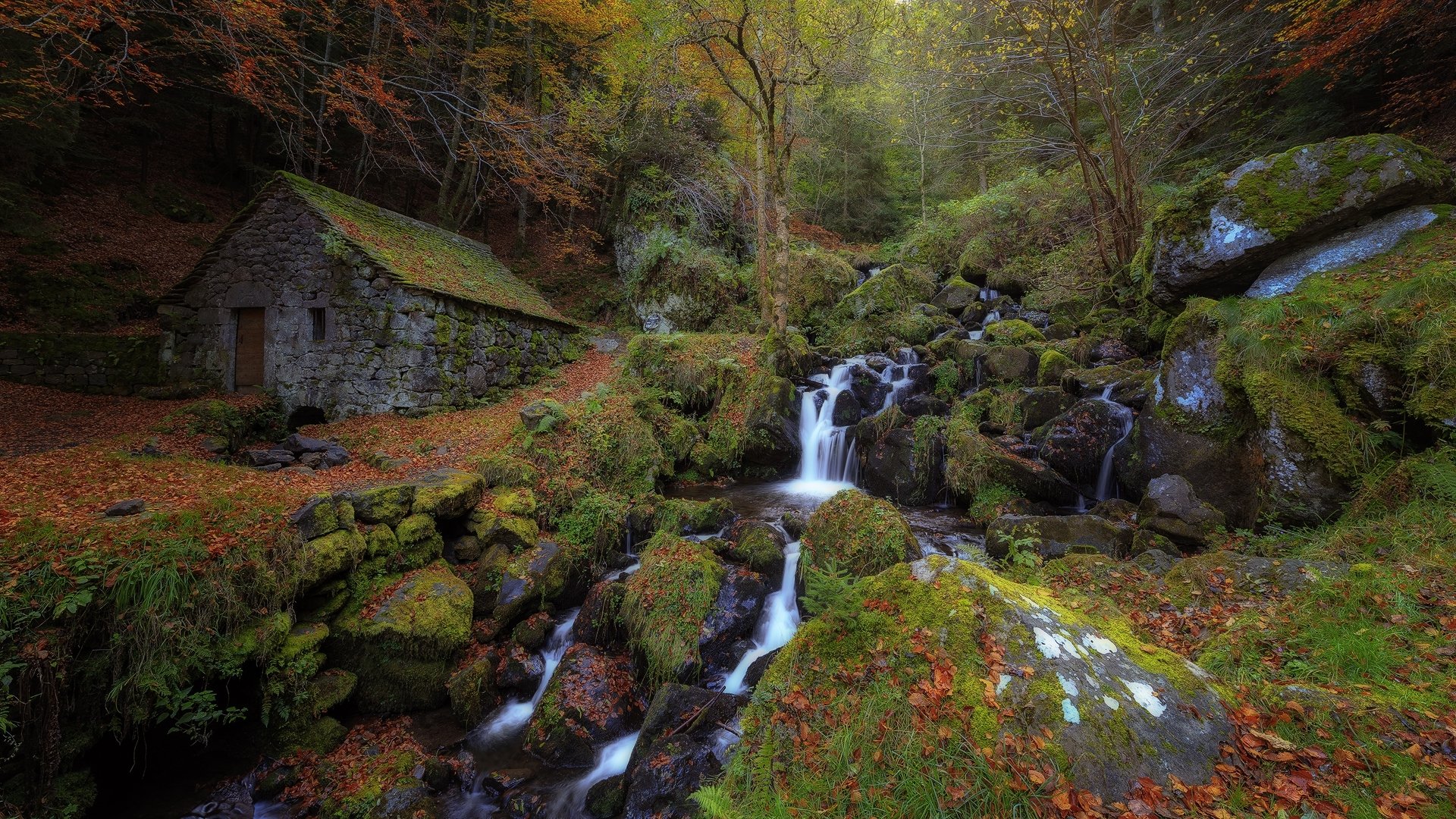 autunno foresta ruscello ruscello capanna