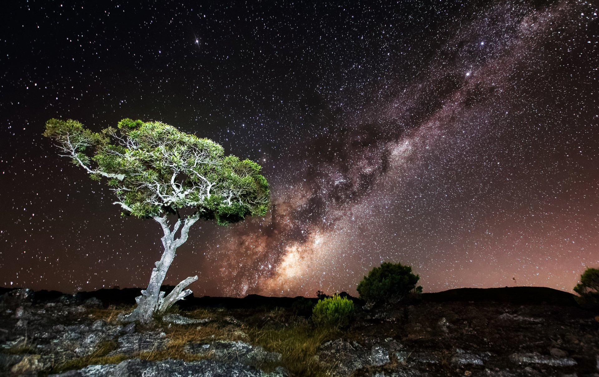 notte cielo stelle rocce albero luce