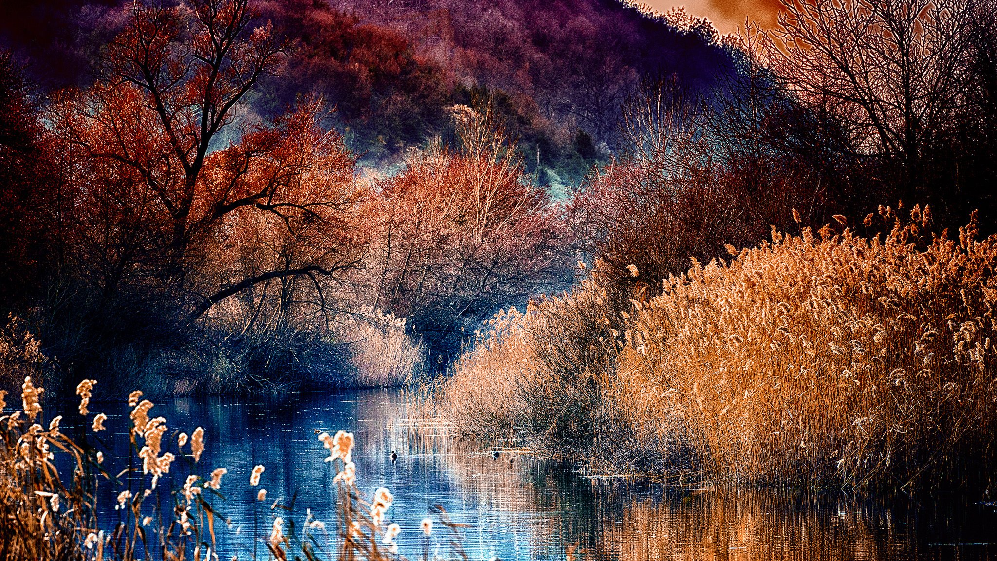 bosque río árboles montañas otoño lago