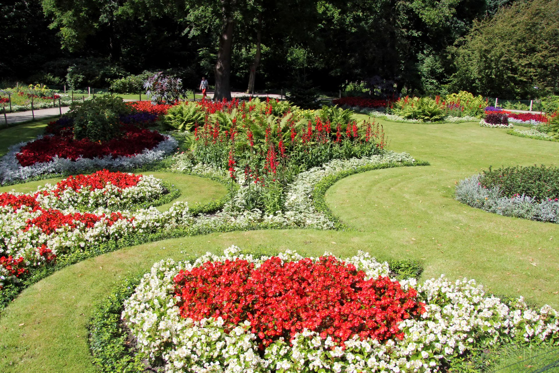 alemania berlín tiergarten parque césped macizos de flores flores begonias vegetación hierba árboles