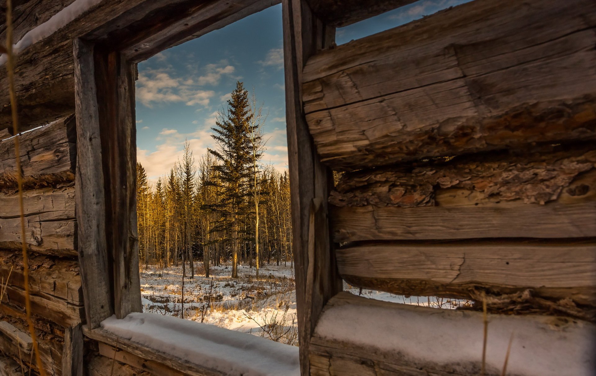 casa ventana naturaleza