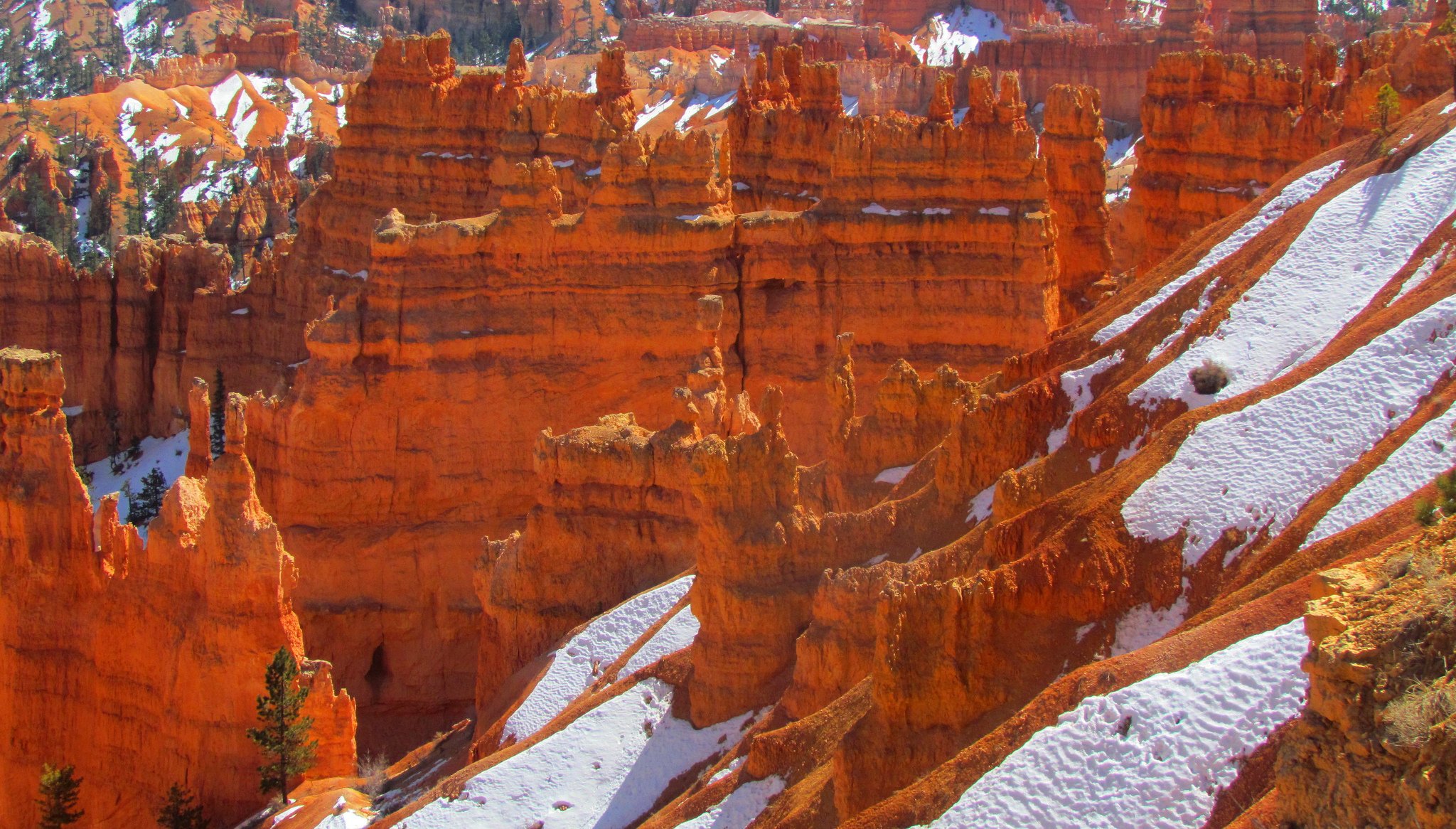 bryce canyon nationalpark utah usa felsen berge baum schnee