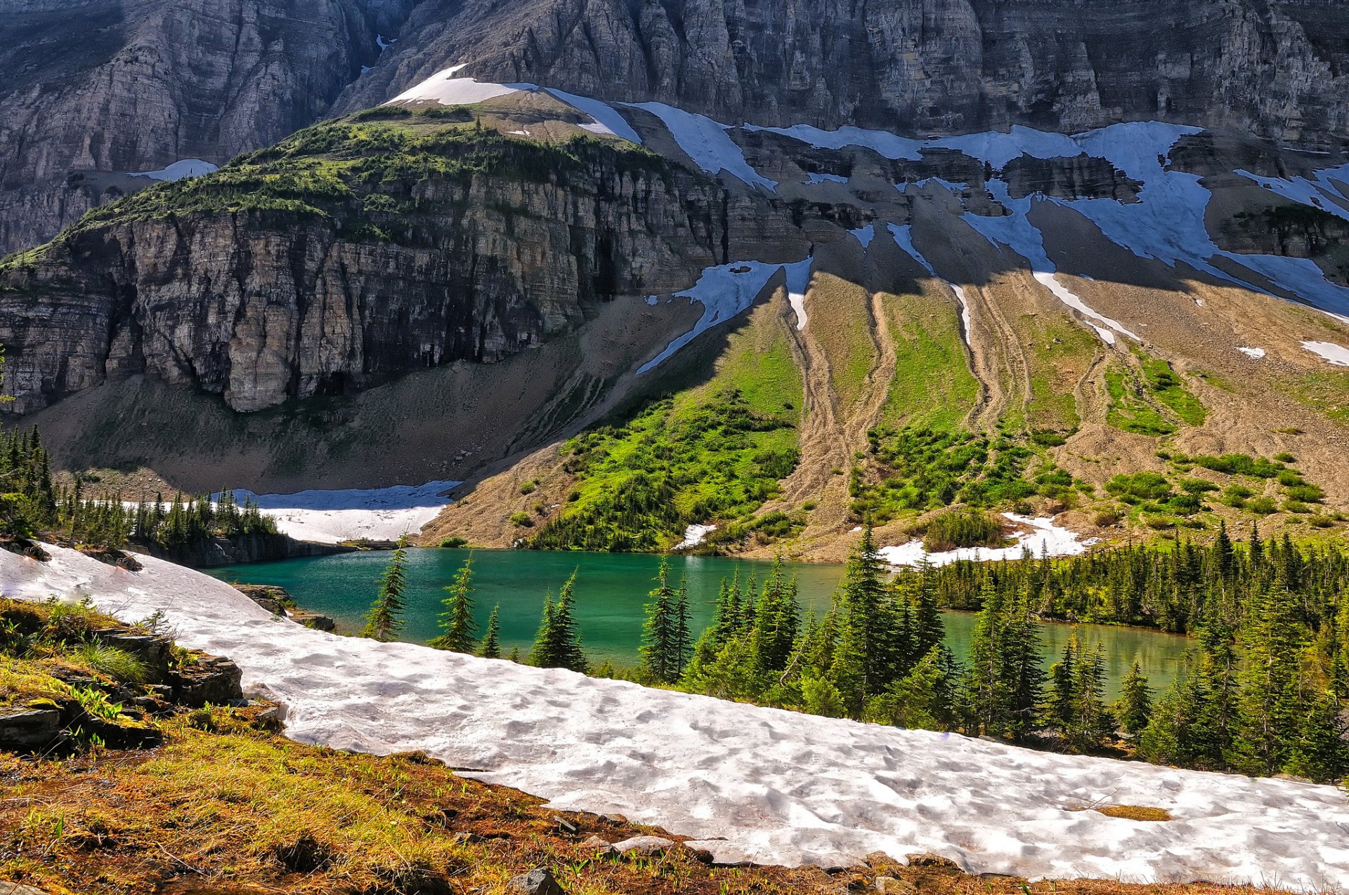 montagne lago neve alberi