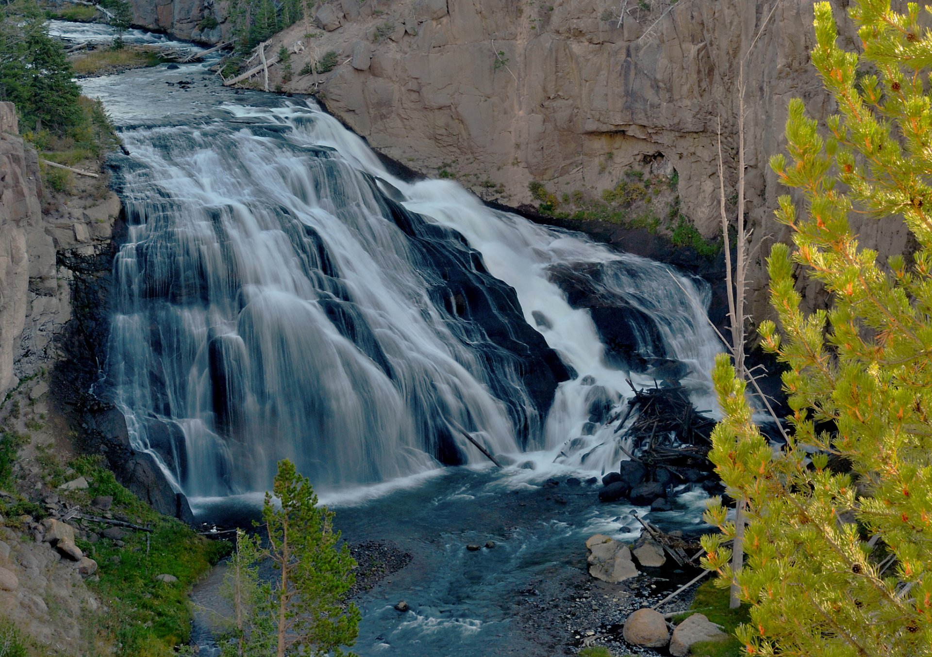 yellowstone wyoming états-unis rivière cascade roches arbre feuilles automne