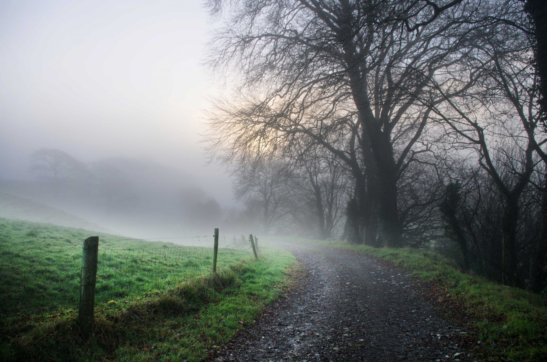 carretera niebla naturaleza