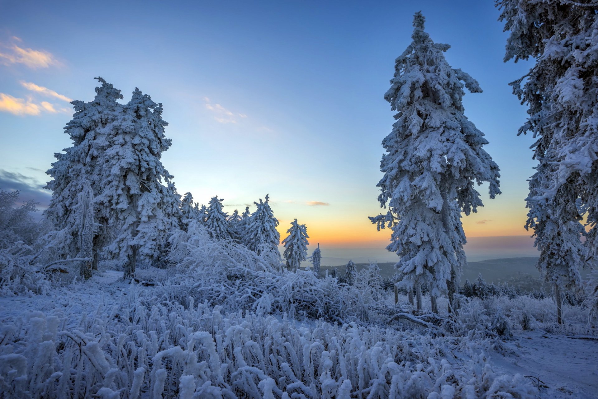 poranek zima las śnieg krajobraz