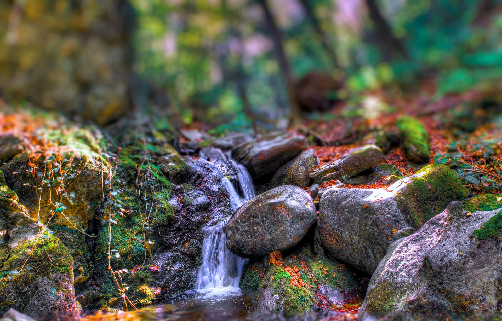 foresta fiume flusso rocce rocce alberi autunno effetto speciale