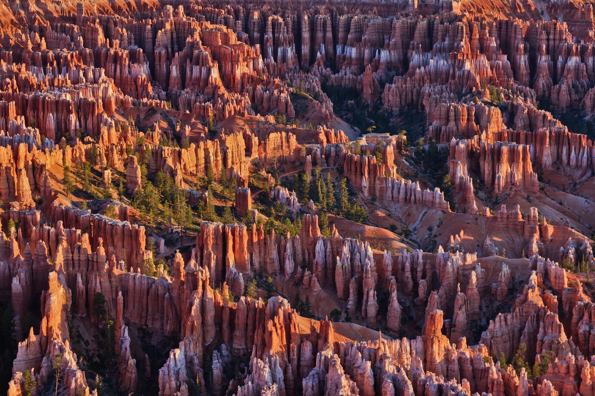 parc national de bryce canyon utah états-unis roches montagnes arbres