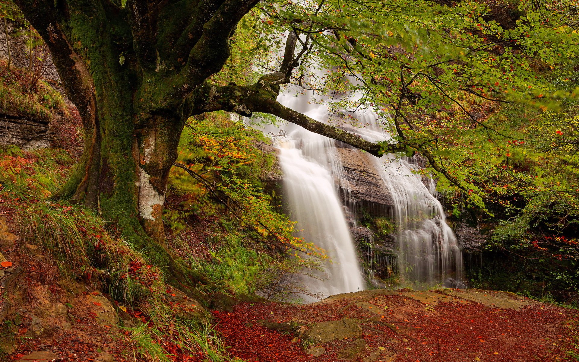 wasserfall herbst natur