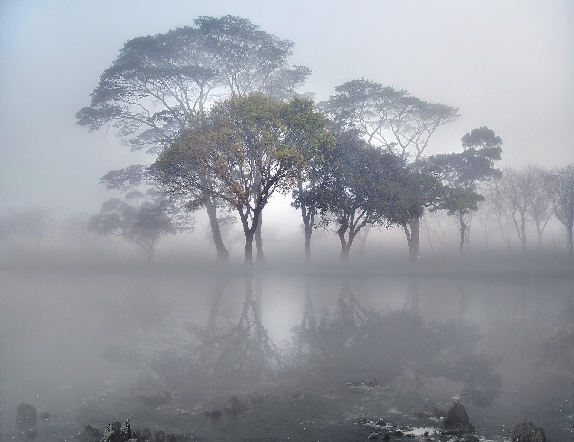 lago superficie piedras árboles niebla