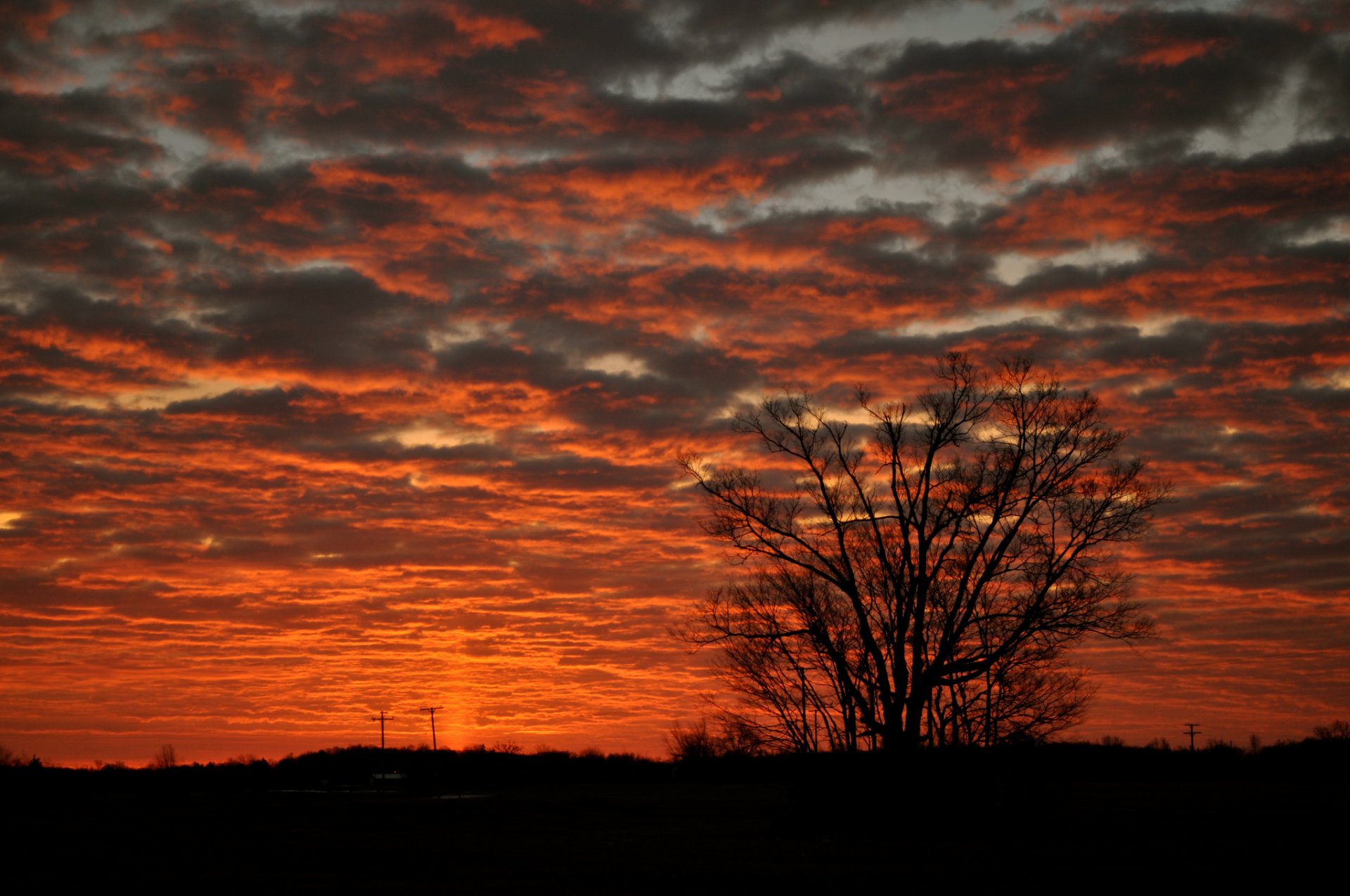 ky clouds glow grass tree silhouette