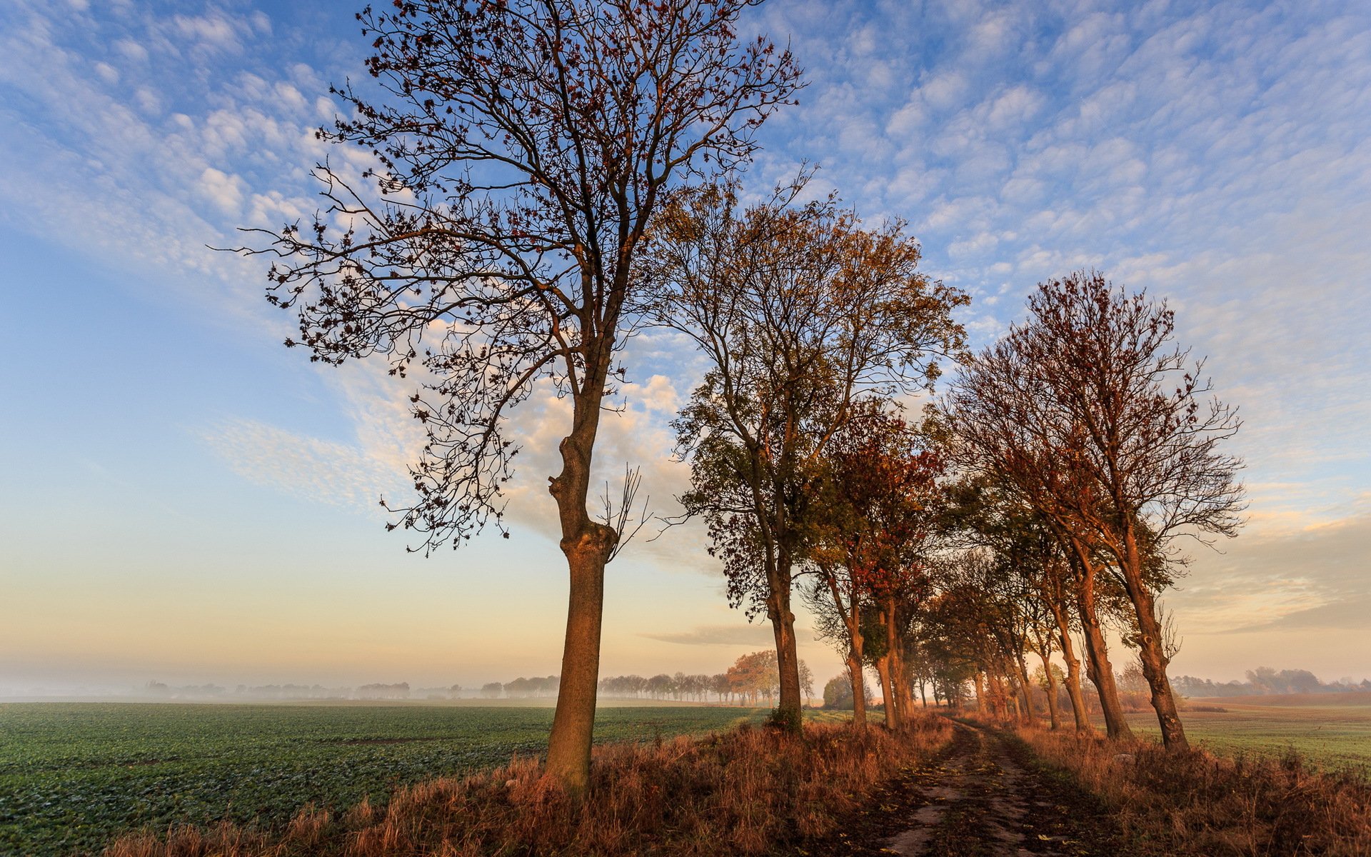 die erste berührung der sonne herbst natur