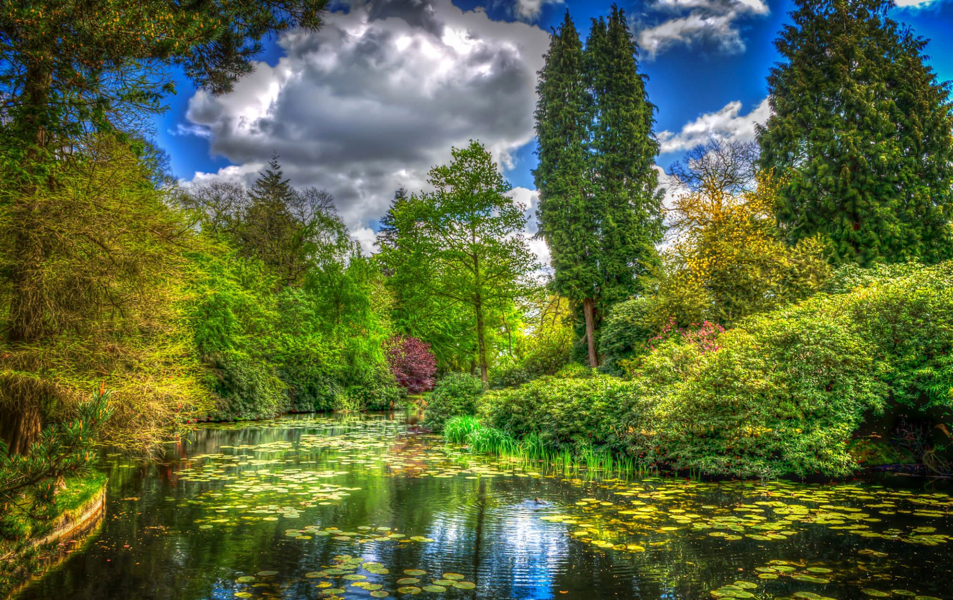 angleterre parc de tatton parc étang verdure herbe buissons arbres nuages traitement