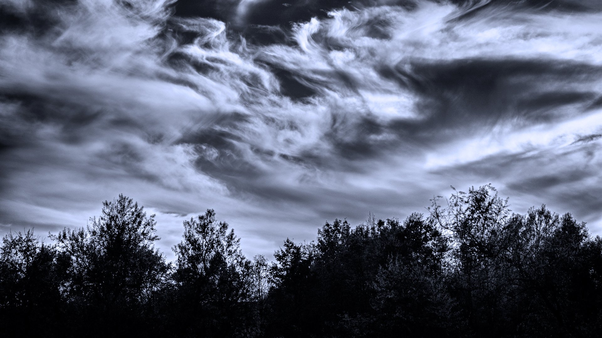 himmel wolken dämmerung bäume schrullig