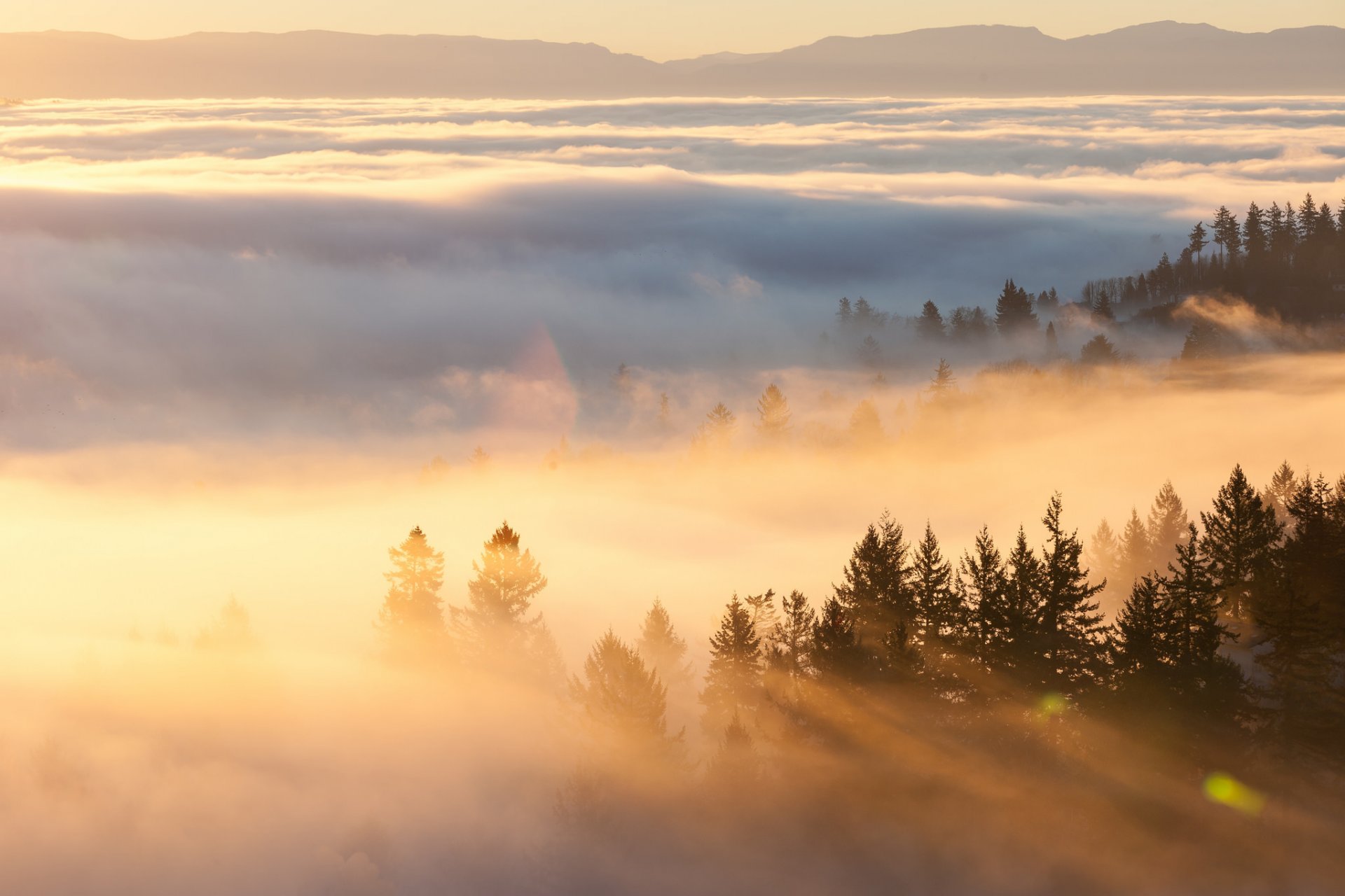 morning fog mountain