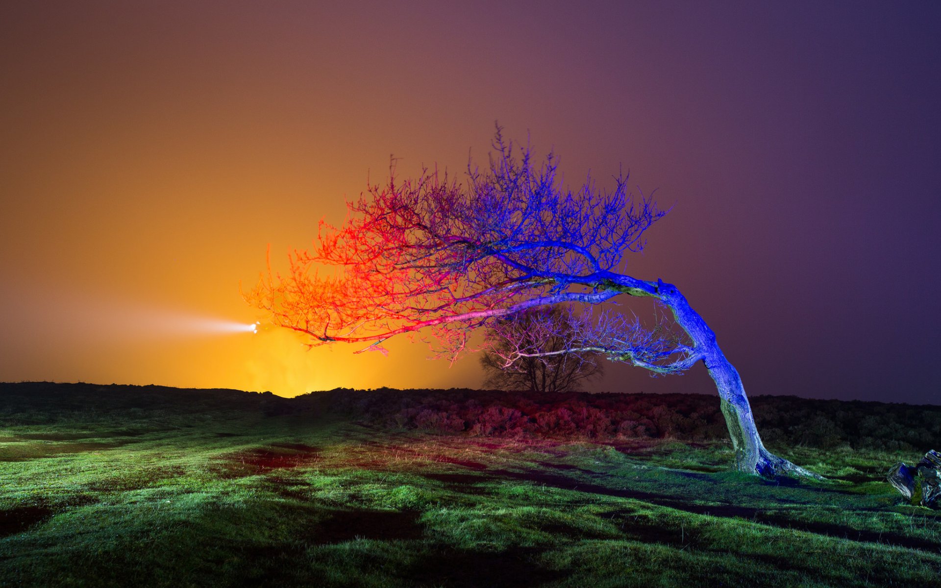 cielo tarde puesta de sol campo árbol luz