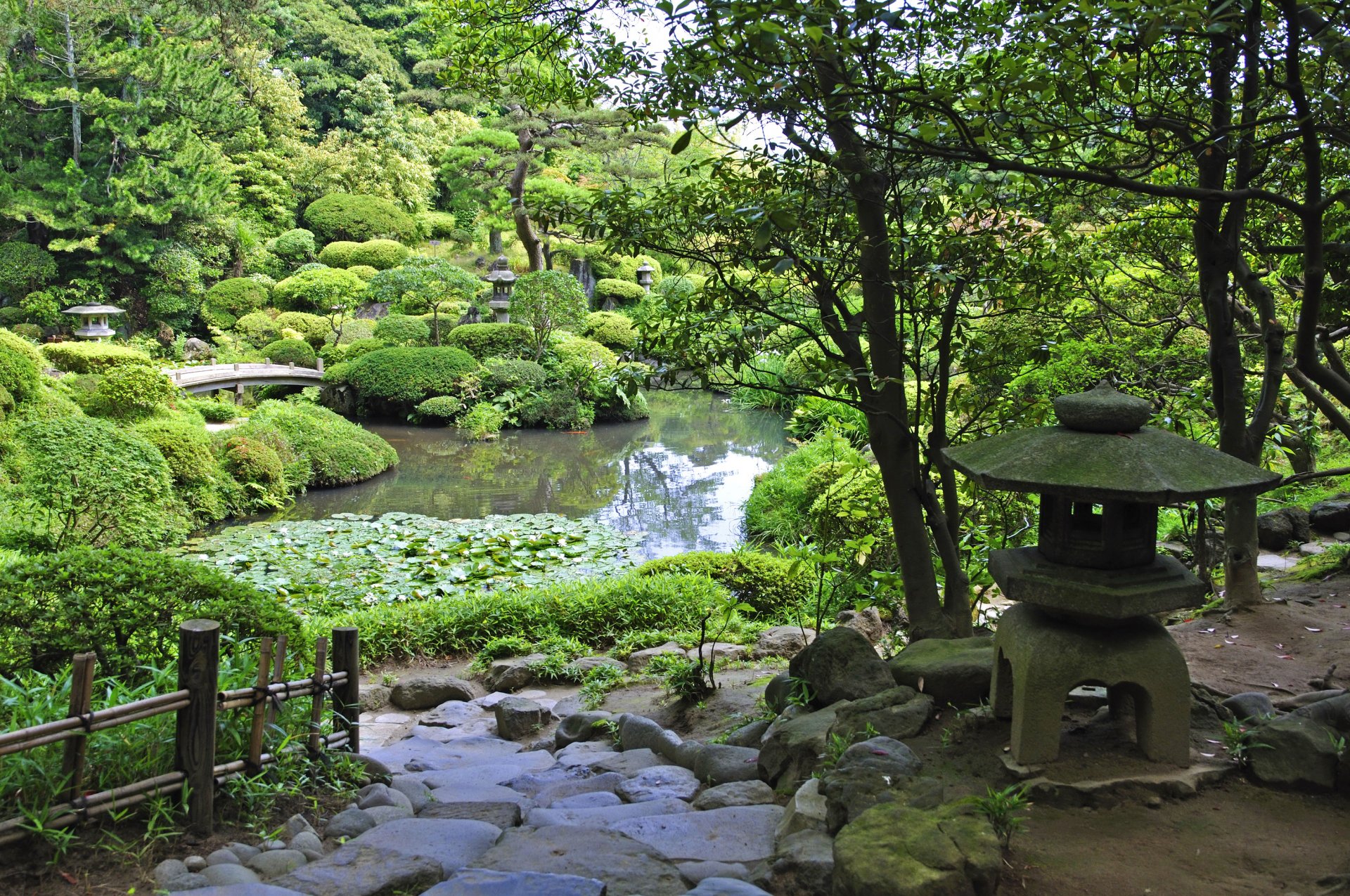 upplies pond grass bush tree green track stones bridge