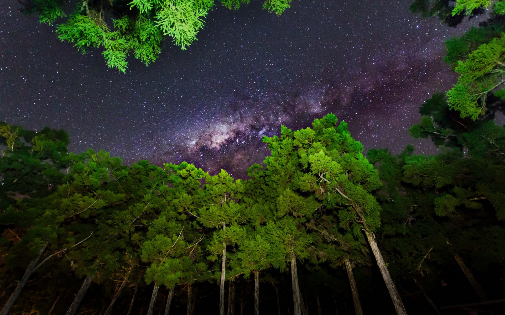 ciel étoiles nuit lumière arbres