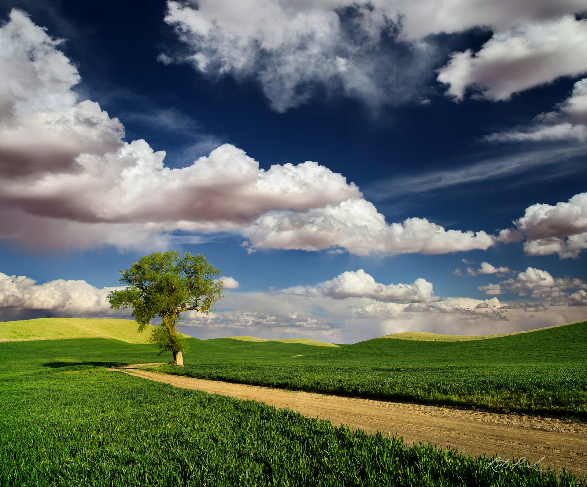 natur frühling himmel wolken felder straße baum