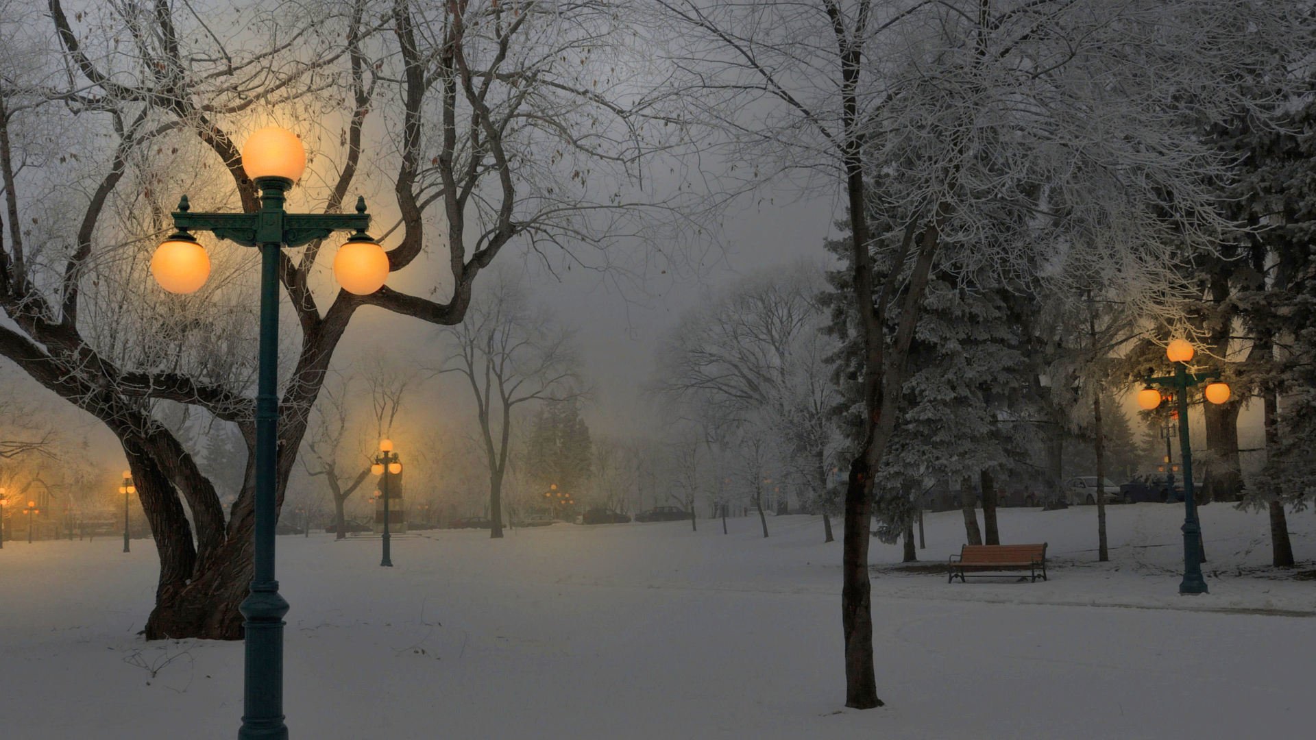 winter schnee park bänke laternen licht