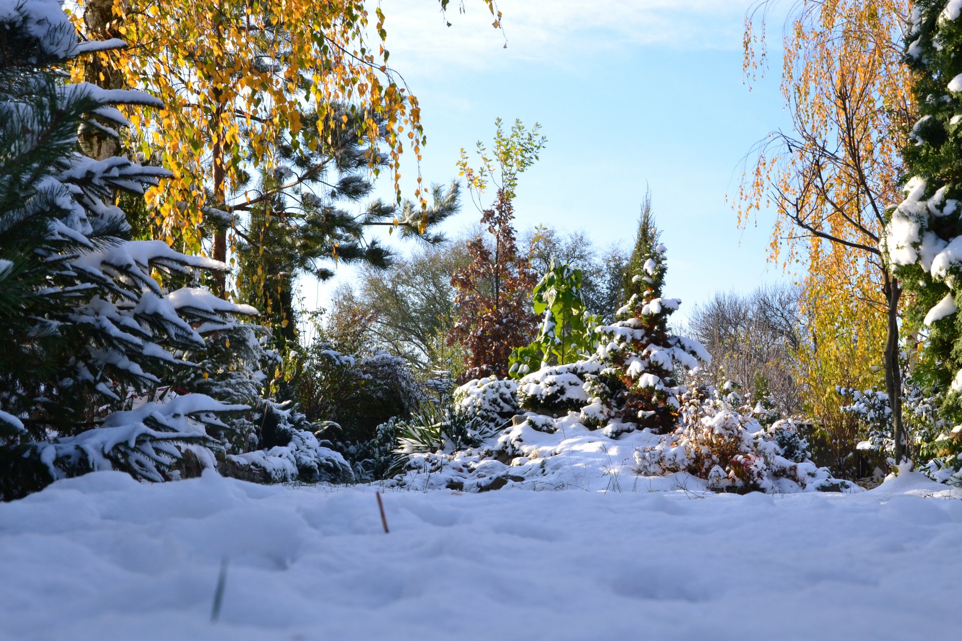 autumn winter landscape nature snow beauty