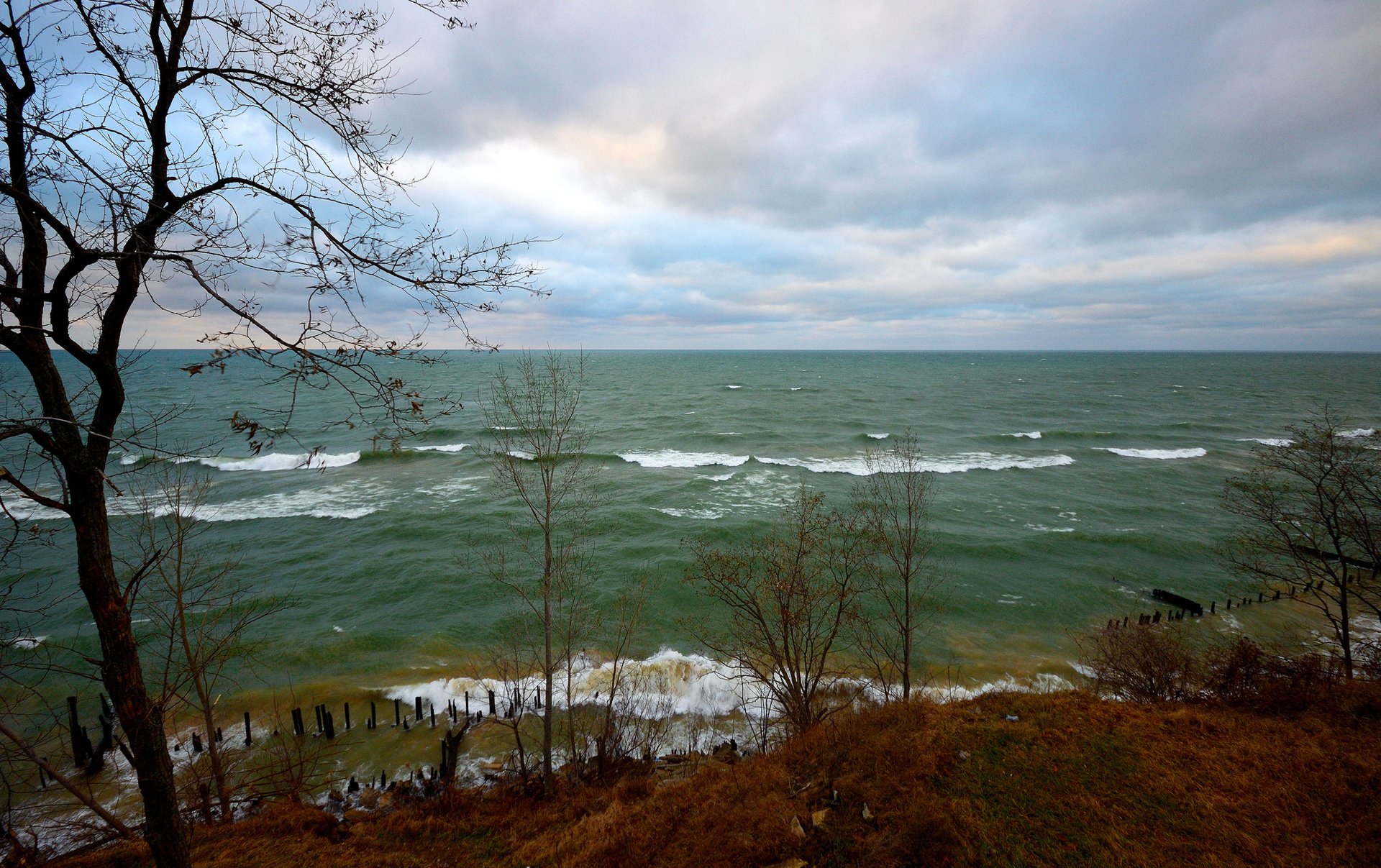 ky clouds sea wind waves tree autumn