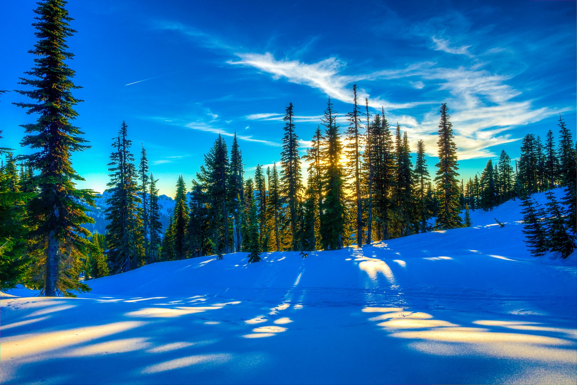 cielo puesta de sol bosque árboles invierno pendiente nieve abeto paisaje