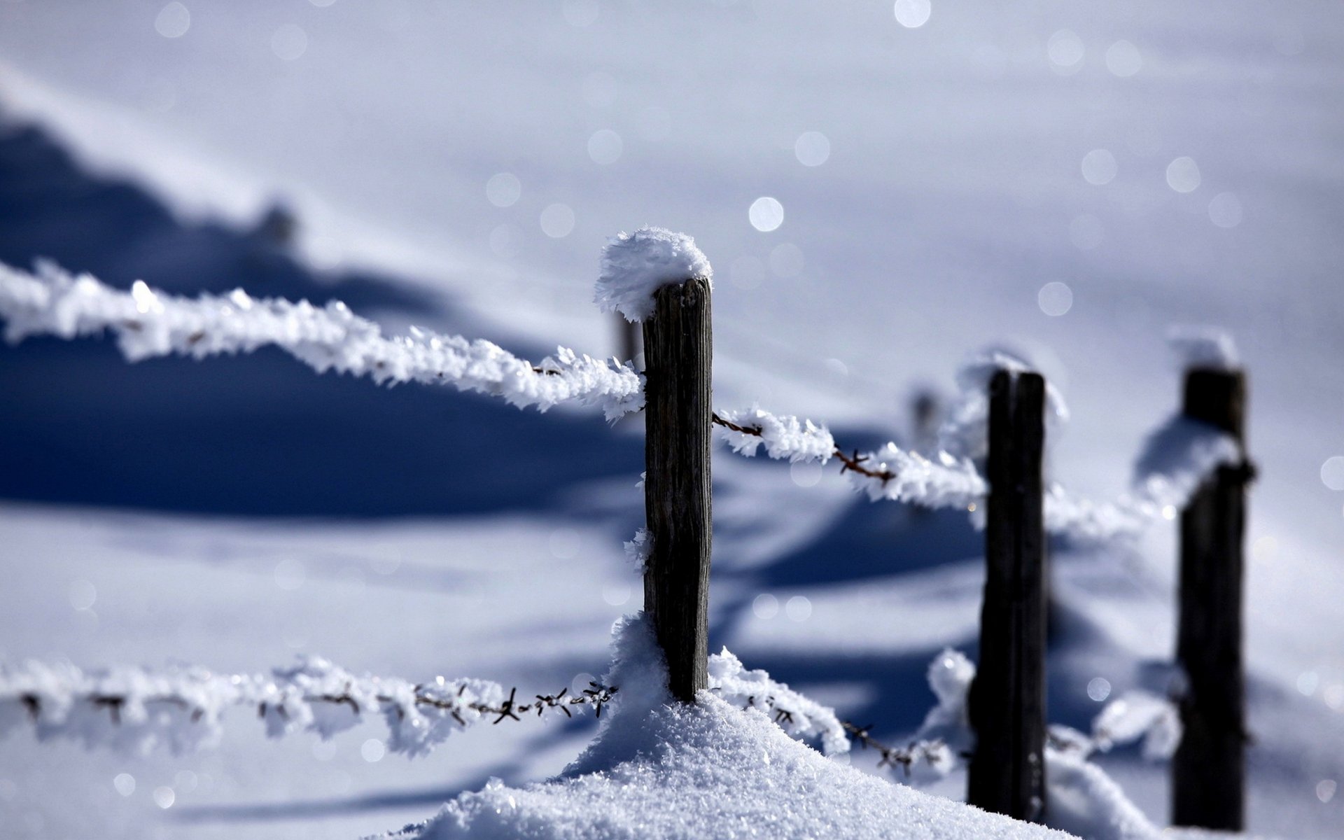 nature hiver neige clôture hiver