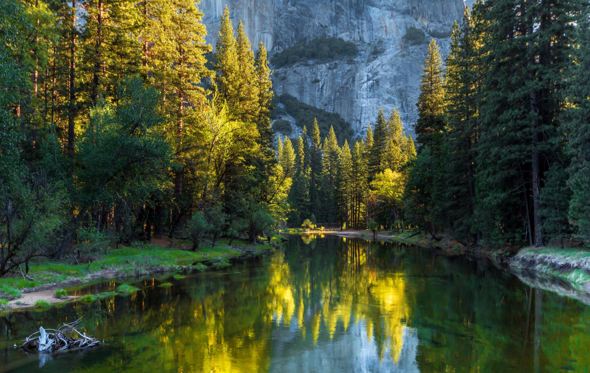 parco nazionale di yosemite california usa montagne foresta alberi fiume