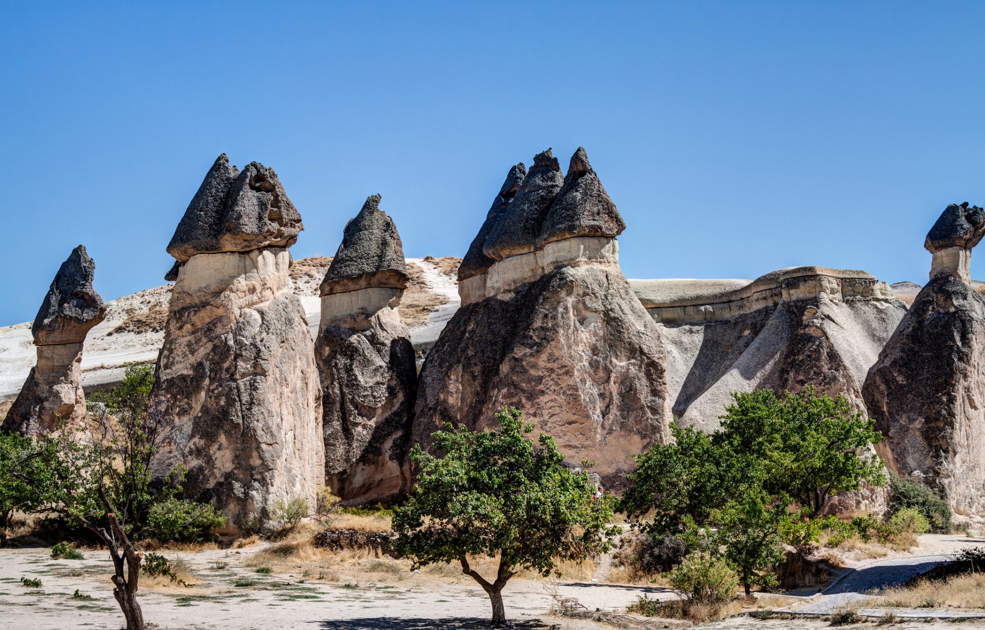 capadocia turquía cielo rocas árboles paisaje