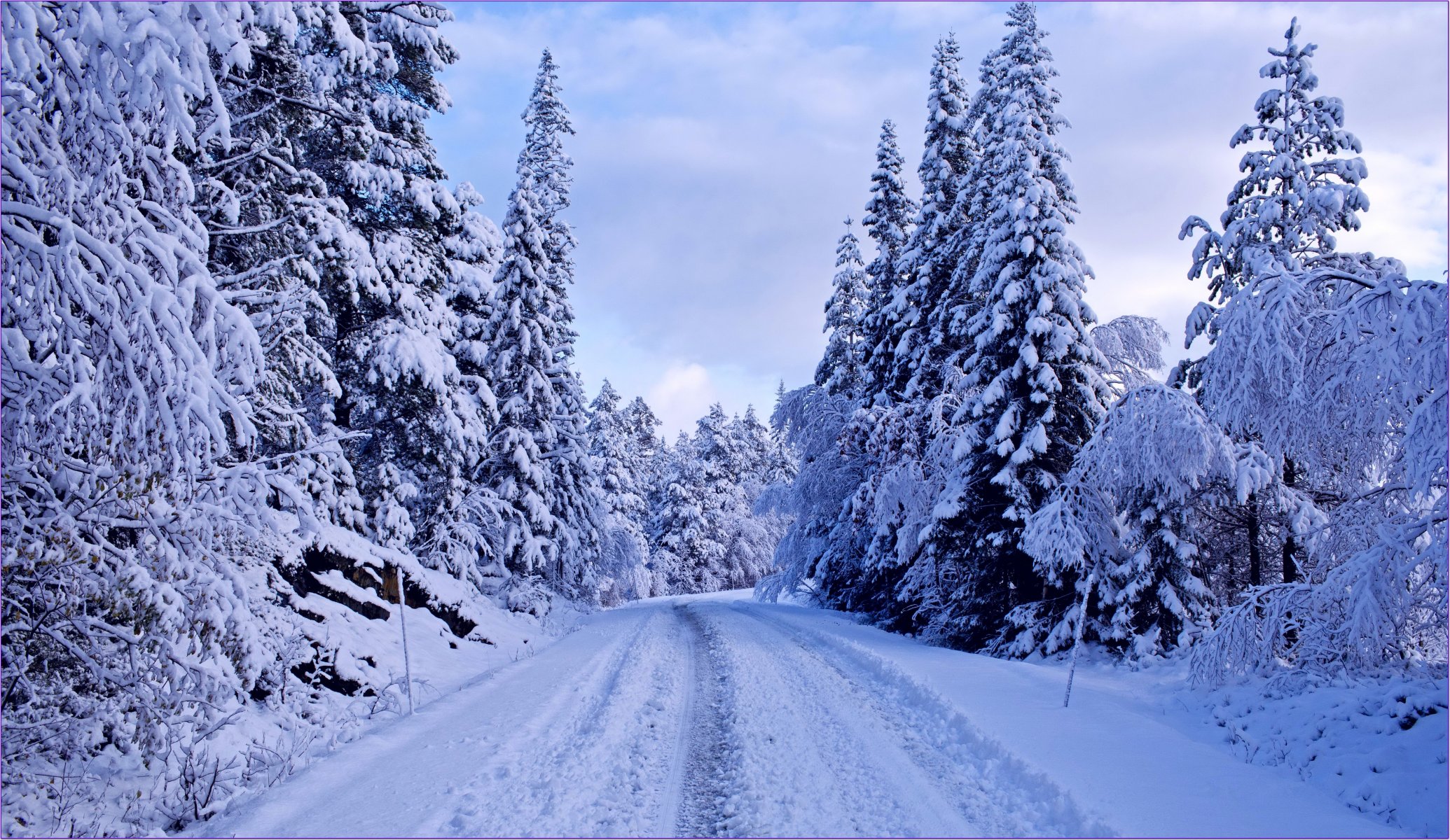 invierno bosque carretera árboles abeto nieve azul