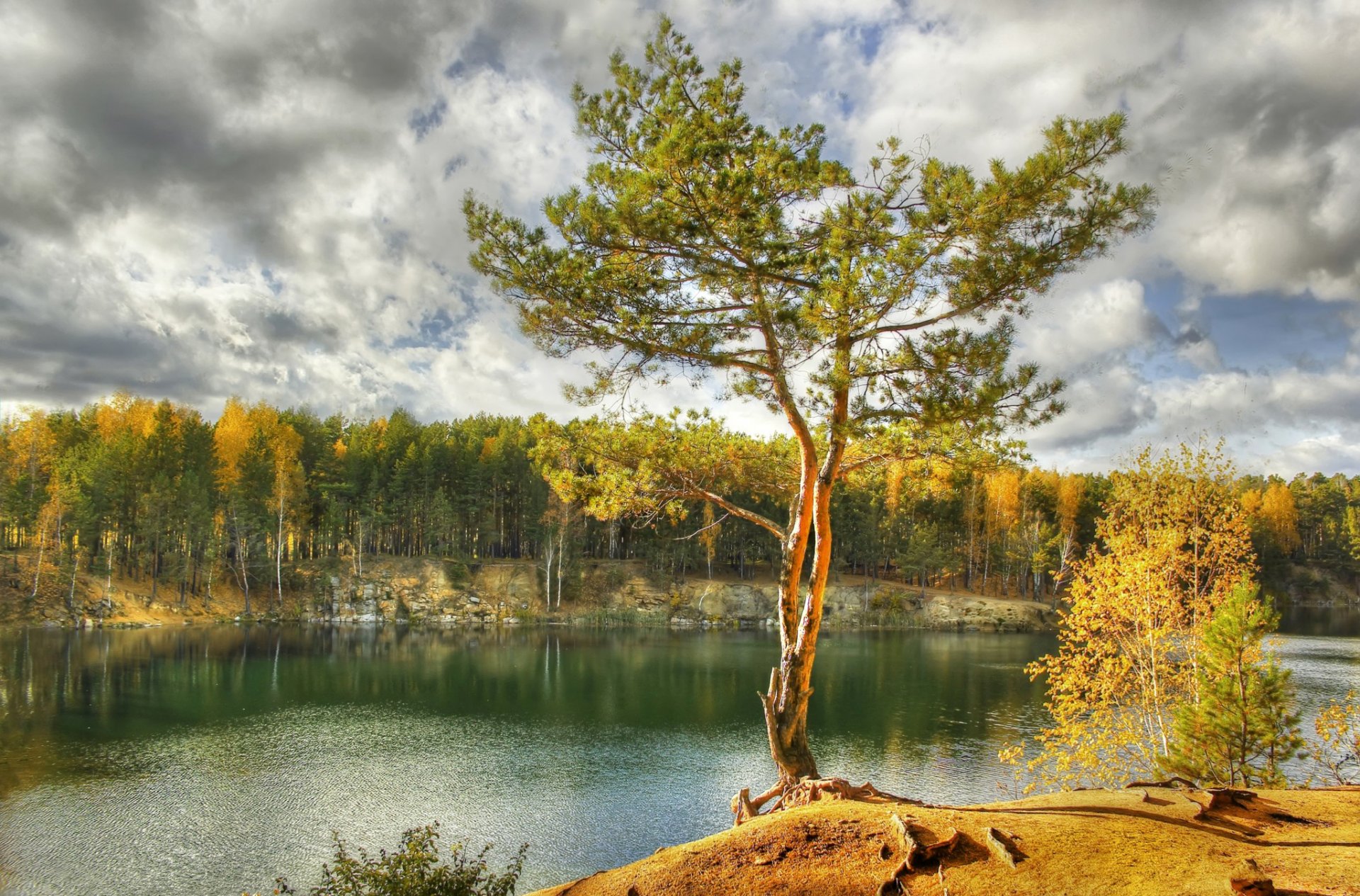 cielo nubes bosque árboles lago otoño